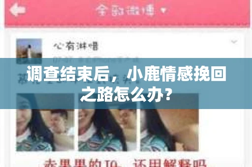 调查结束后，小鹿情感挽回之路怎么办？