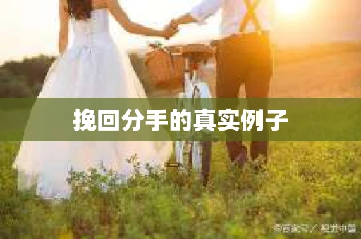 挽回分手的真实例子
