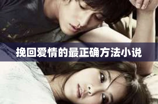 挽回爱情的最正确方法小说