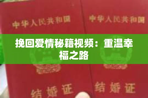 挽回爱情秘籍视频：重温幸福之路
