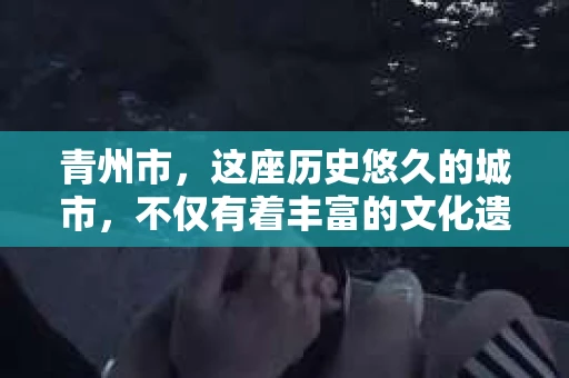 青州市，这座历史悠久的城市，不仅有着丰富的文化遗产，也有着现代生活的便捷。那么，问题来了——青州市有私家侦探公司吗？这个问题，对于需要侦探服务的人来说，无疑至关重要。接下来，我就来为大家揭开这个谜底。