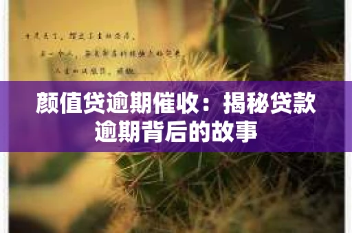 颜值贷逾期催收：揭秘贷款逾期背后的故事