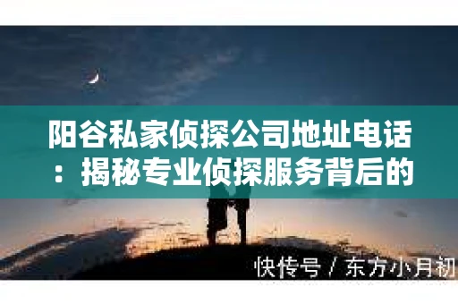 阳谷私家侦探公司地址电话：揭秘专业侦探服务背后的故事