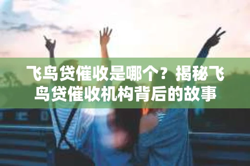 飞鸟贷催收是哪个？揭秘飞鸟贷催收机构背后的故事