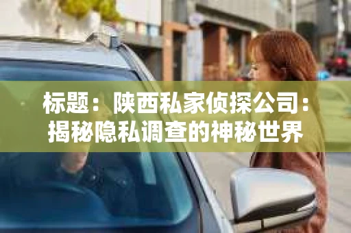 标题：陕西私家侦探公司：揭秘隐私调查的神秘世界