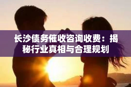 长沙债务催收咨询收费：揭秘行业真相与合理规划