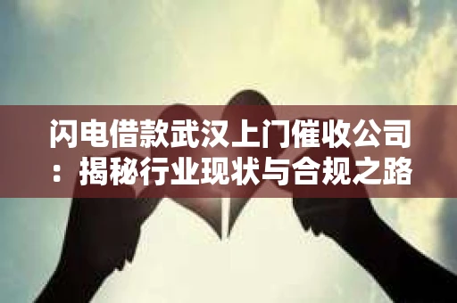 闪电借款武汉上门催收公司：揭秘行业现状与合规之路