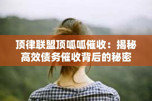 顶律联盟顶呱呱催收：揭秘高效债务催收背后的秘密