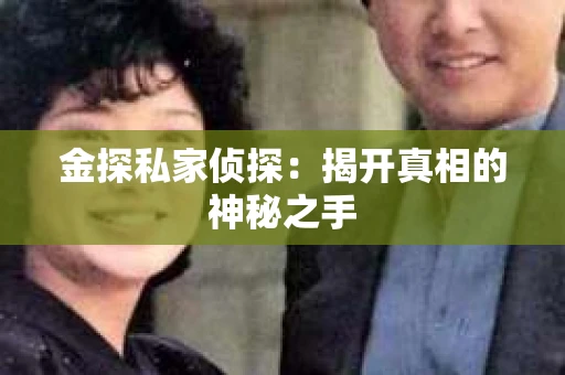金探私家侦探：揭开真相的神秘之手