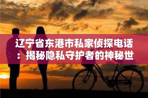 辽宁省东港市私家侦探电话：揭秘隐私守护者的神秘世界