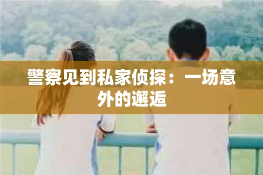 警察见到私家侦探：一场意外的邂逅