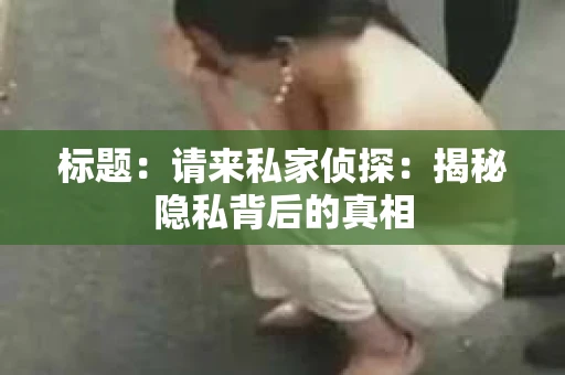 标题：请来私家侦探：揭秘隐私背后的真相