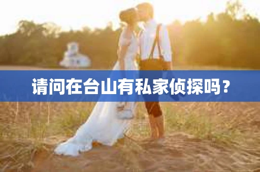 请问在台山有私家侦探吗？