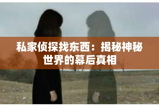 私家侦探找东西：揭秘神秘世界的幕后真相