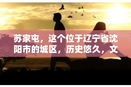 苏家屯，这个位于辽宁省沈阳市的城区，历史悠久，文化底蕴深厚。近年来，随着社会的发展，人们对于私家侦探的需求也逐渐增加。那么，苏家屯有私家侦探吗？今天，我们就来聊聊这个话题。