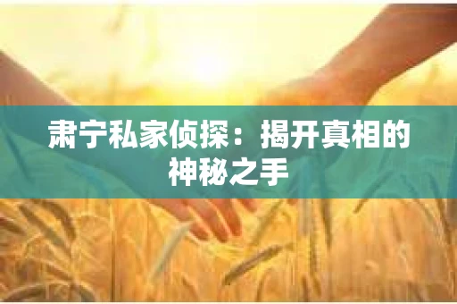 肃宁私家侦探:揭开真相的神秘之手 肃宁私家侦探:揭开真相的神秘之手