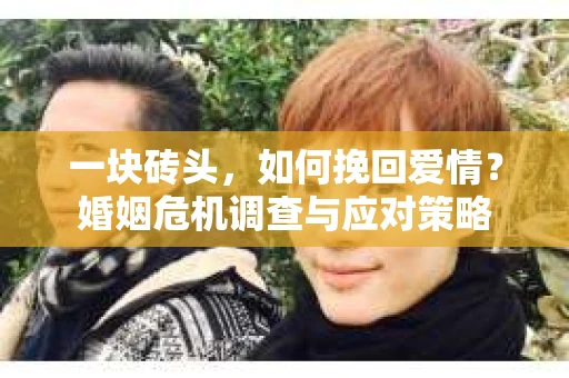 一块砖头,如何挽回爱情?婚姻危机调查与应对策略 一块砖头,如何挽回爱情?婚姻危机调查与应对策略