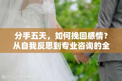 分手五天,如何挽回感情?从自我反思到专业咨询的全面解决方案 分手五天,如何挽回感情?从自我反思到专业咨询的全面解决方案