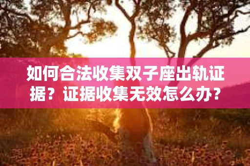 如何合法收集双子座出轨证据？证据收集无效怎么办？