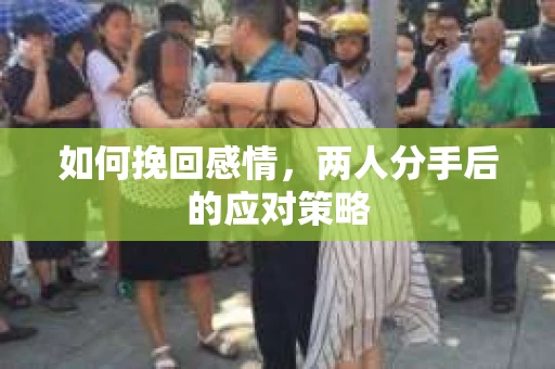如何挽回感情,两人分手后的应对策略 如何挽回感情,两人分手后的应对策略