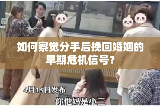 如何察觉分手后挽回婚姻的早期危机信号？
