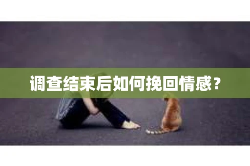 调查结束后如何挽回情感？