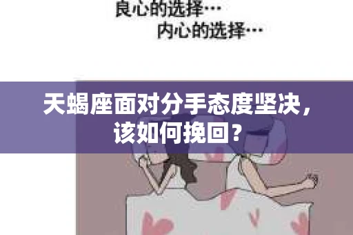 天蝎座面对分手态度坚决，该如何挽回？